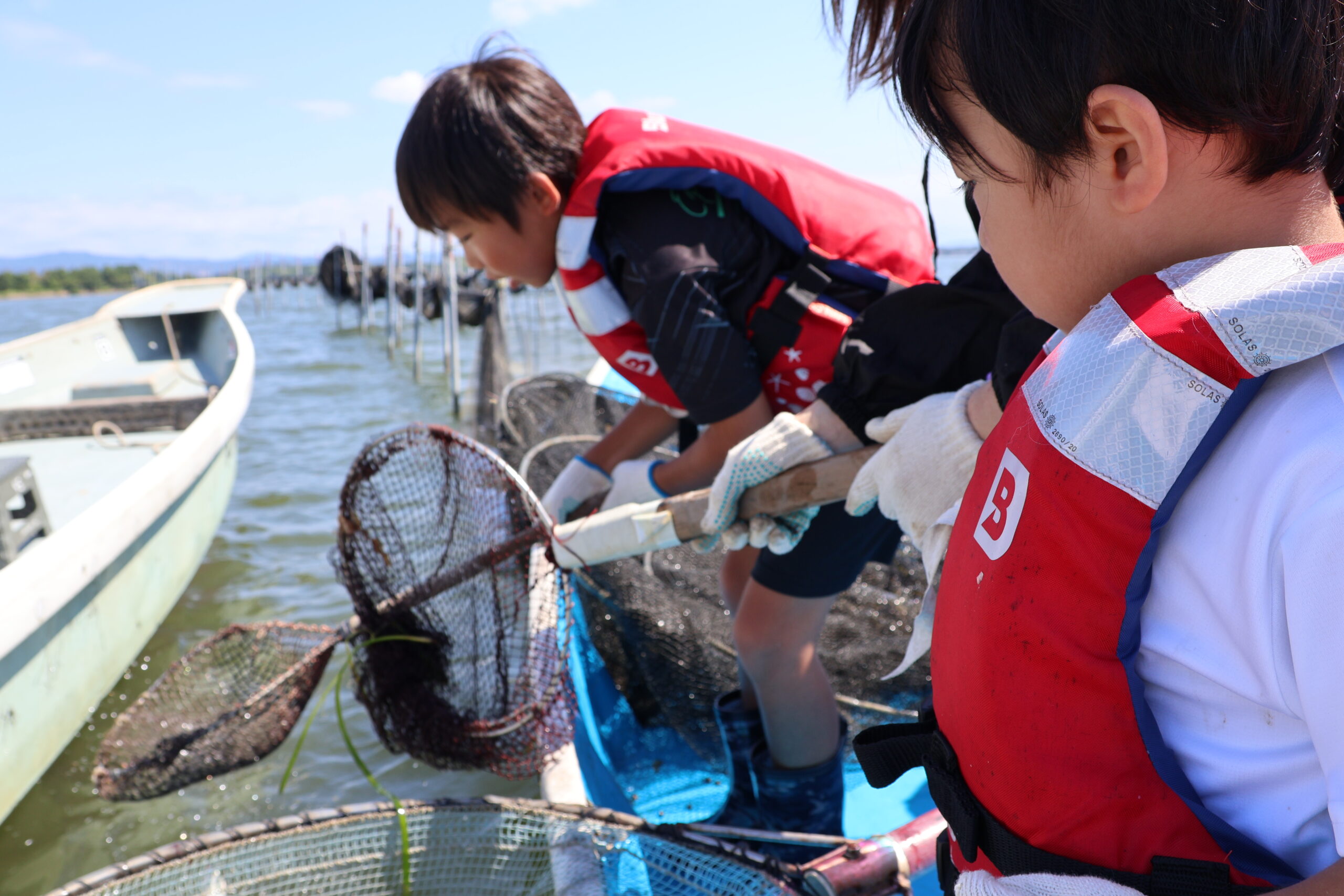 季節限定】ファミリーやグループで！ 今日はどんな魚が現れる？ 浜名湖